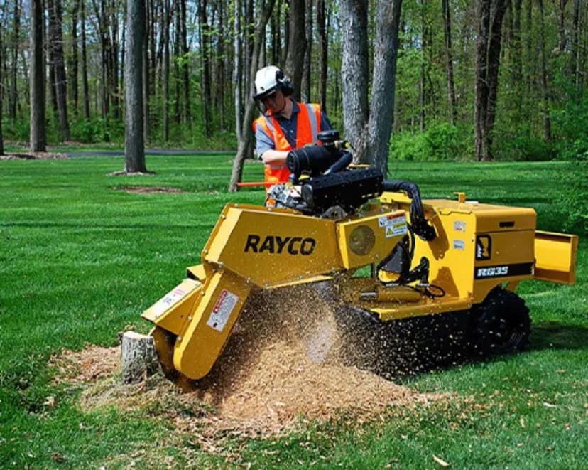 Professional arborist operating yellow Rayco stump grinder to remove tree stump in grassy area with trees in background