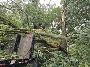 Emergency tree services in Johnson City